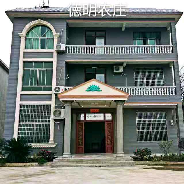 茶油姑姑-美丽乡村