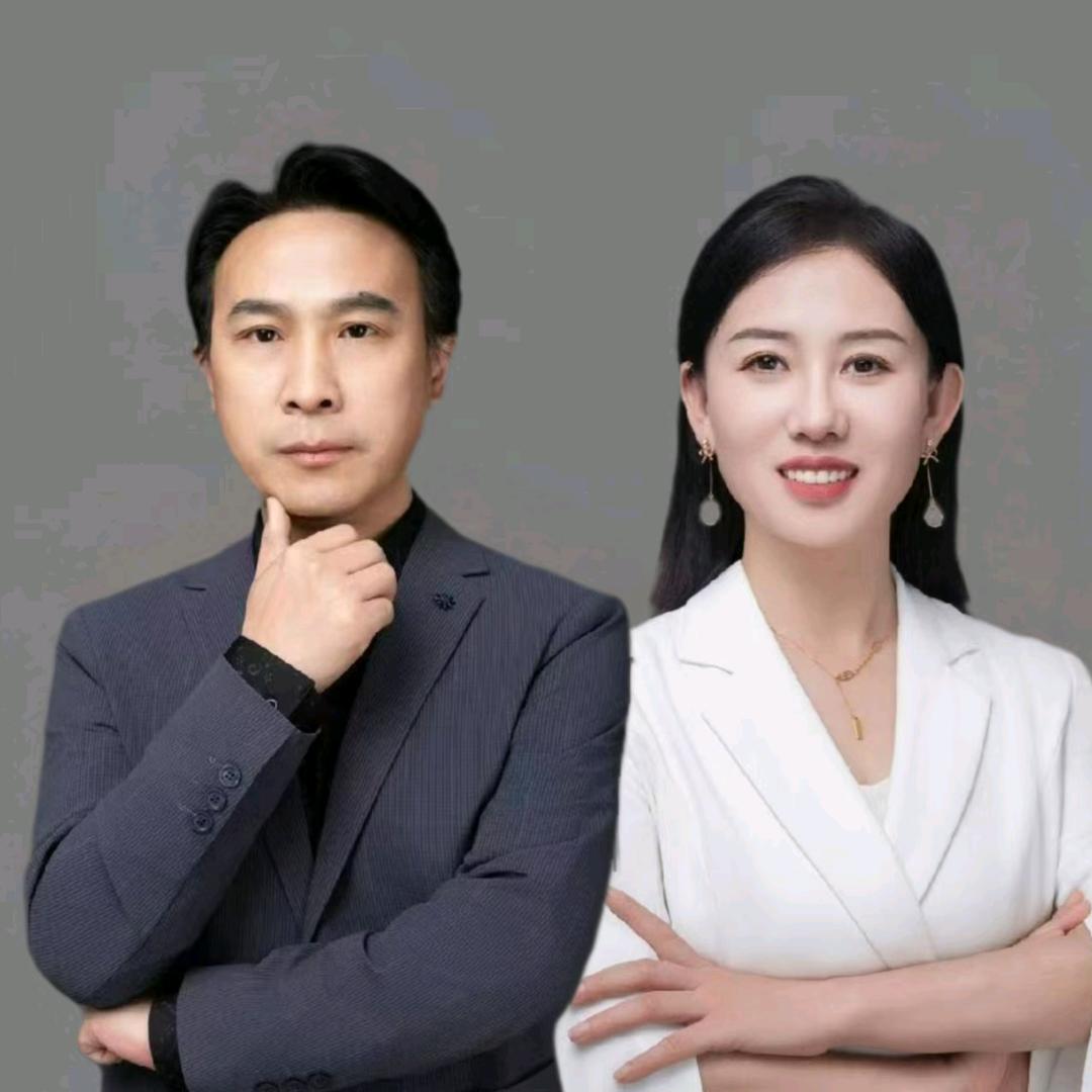 创业财务逗逗飞