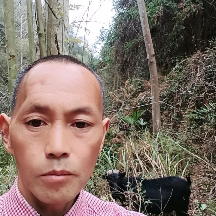 努力拼搏