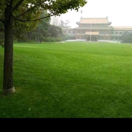 兰心