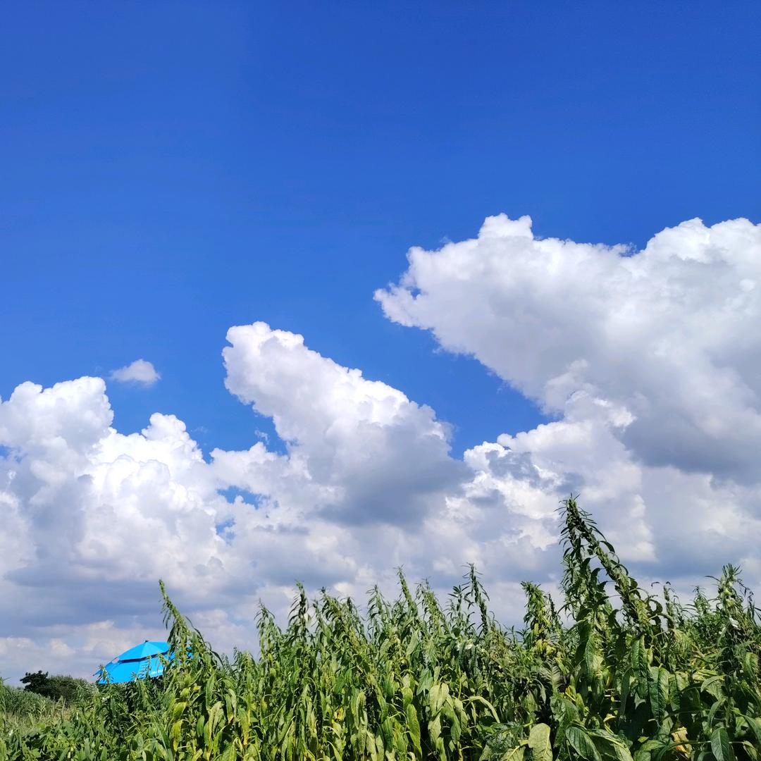 不蒋理