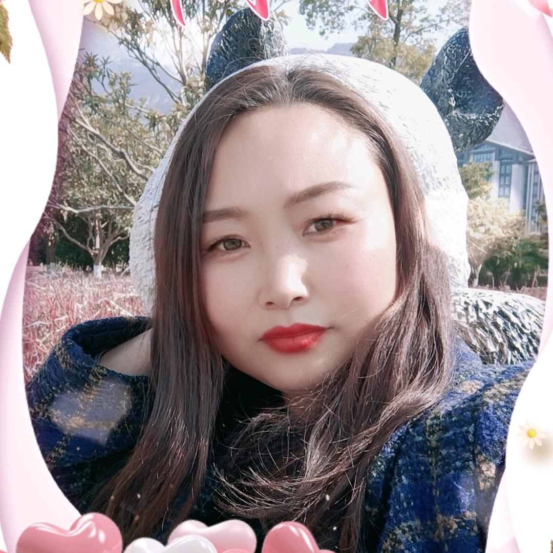 高飞的燕