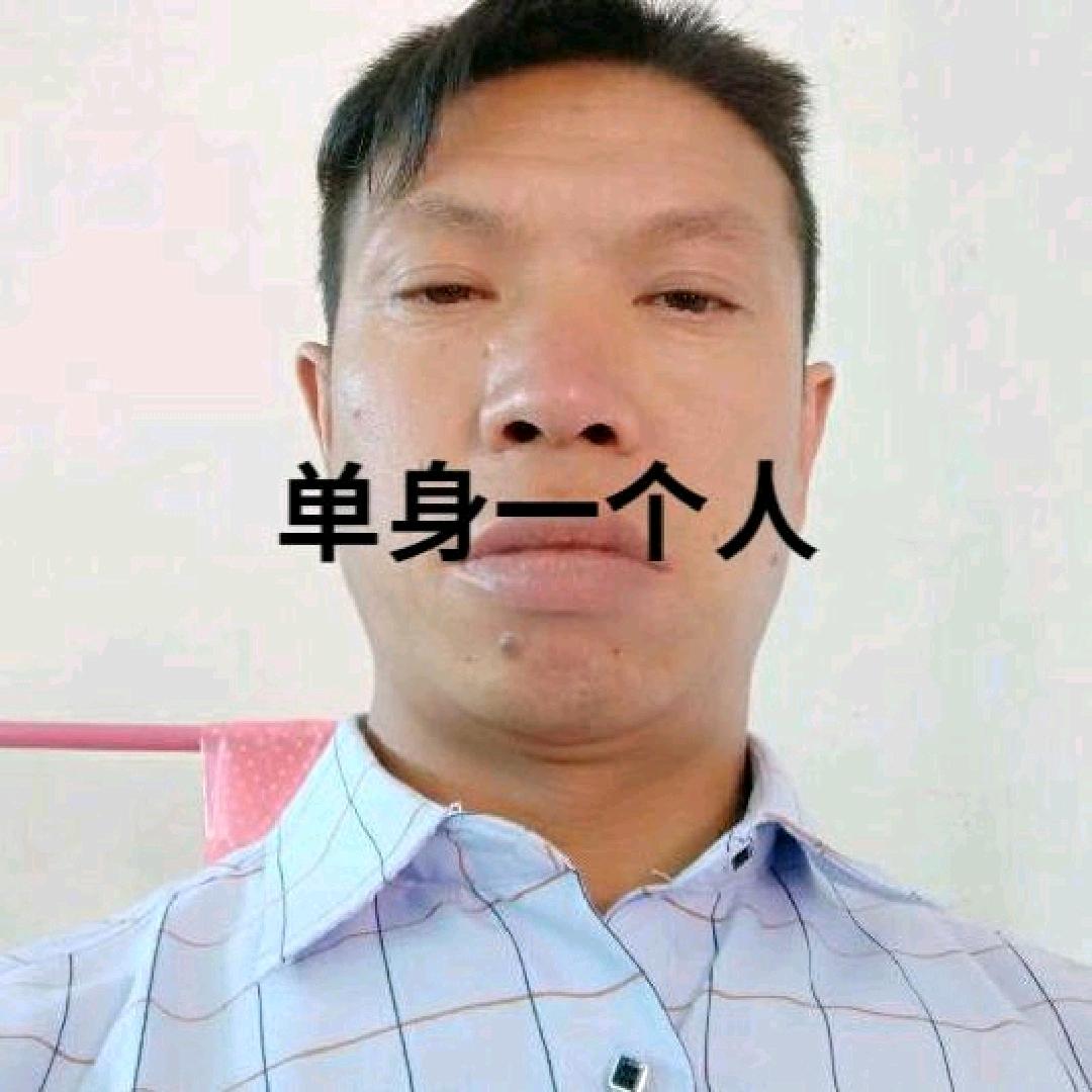 农村房建支木