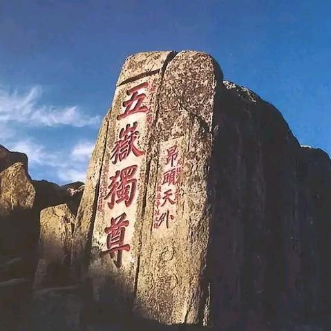 寿臣山泰山黄精