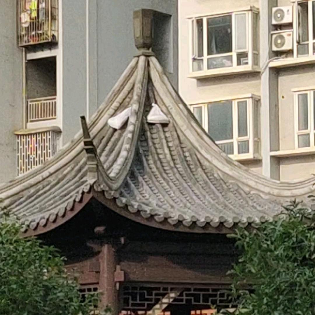 馬、少，专业盖瓦