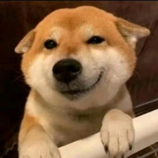佳哆宝@