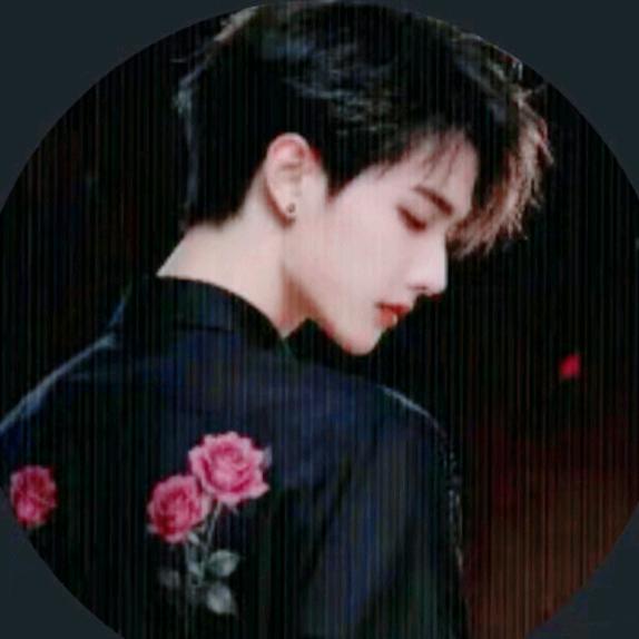 ✨清欢✨渐远✨