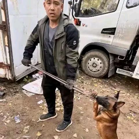 AAA金哥专业套狗18年