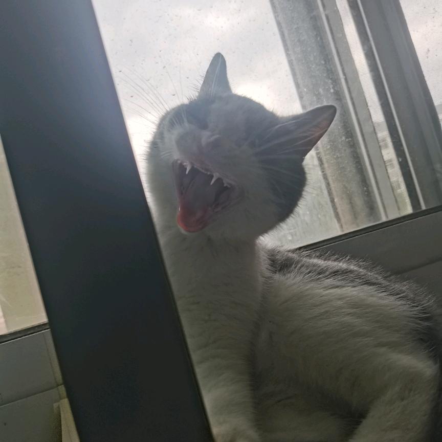 ZZZZZZ