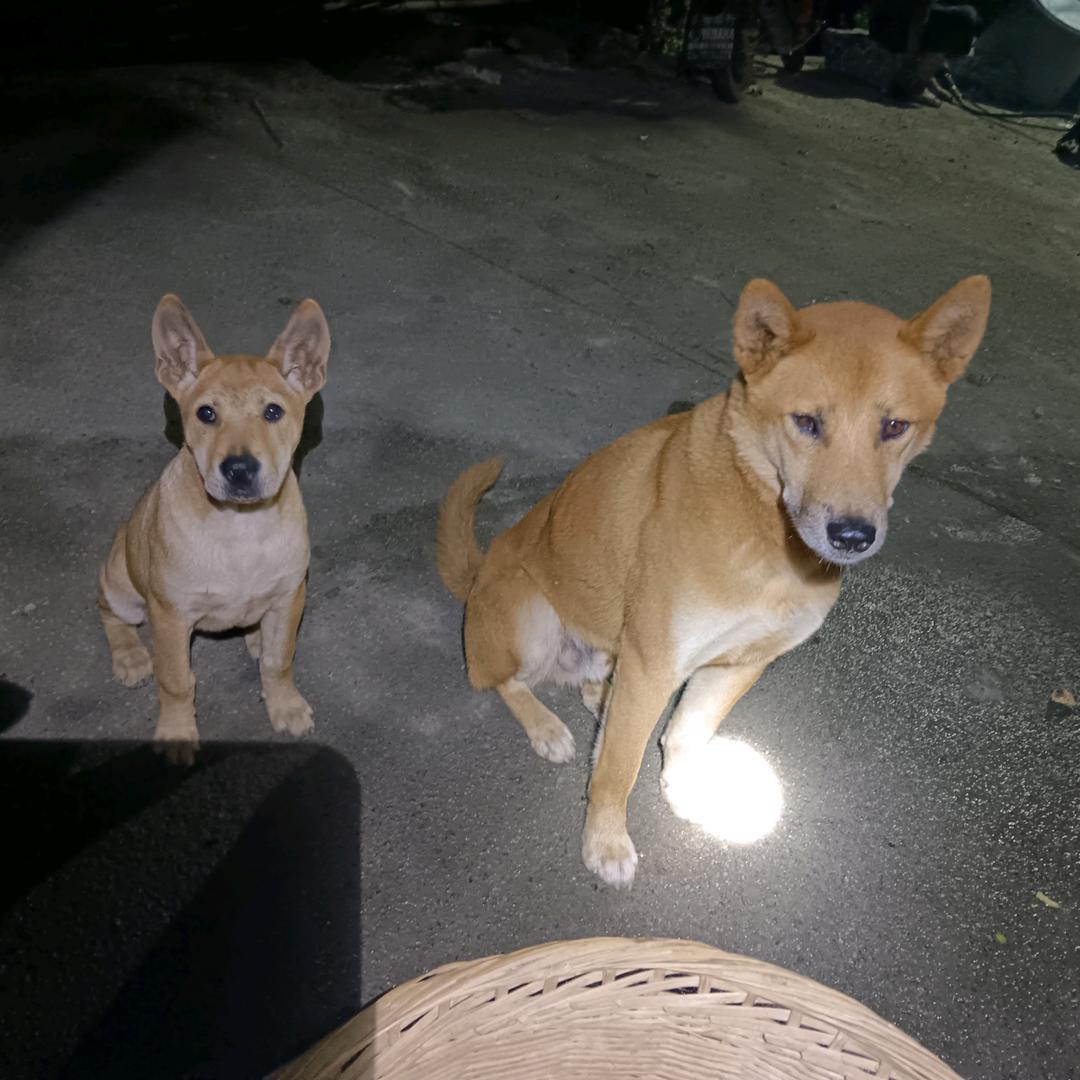 ꧁半༺斤 ˋˏᰔᩚˎˊ˗八༻两꧂