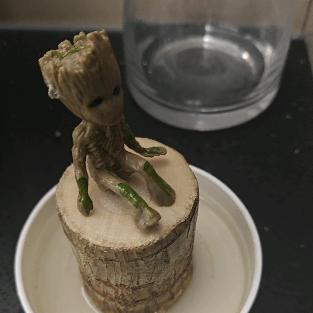 只吃烧鸡