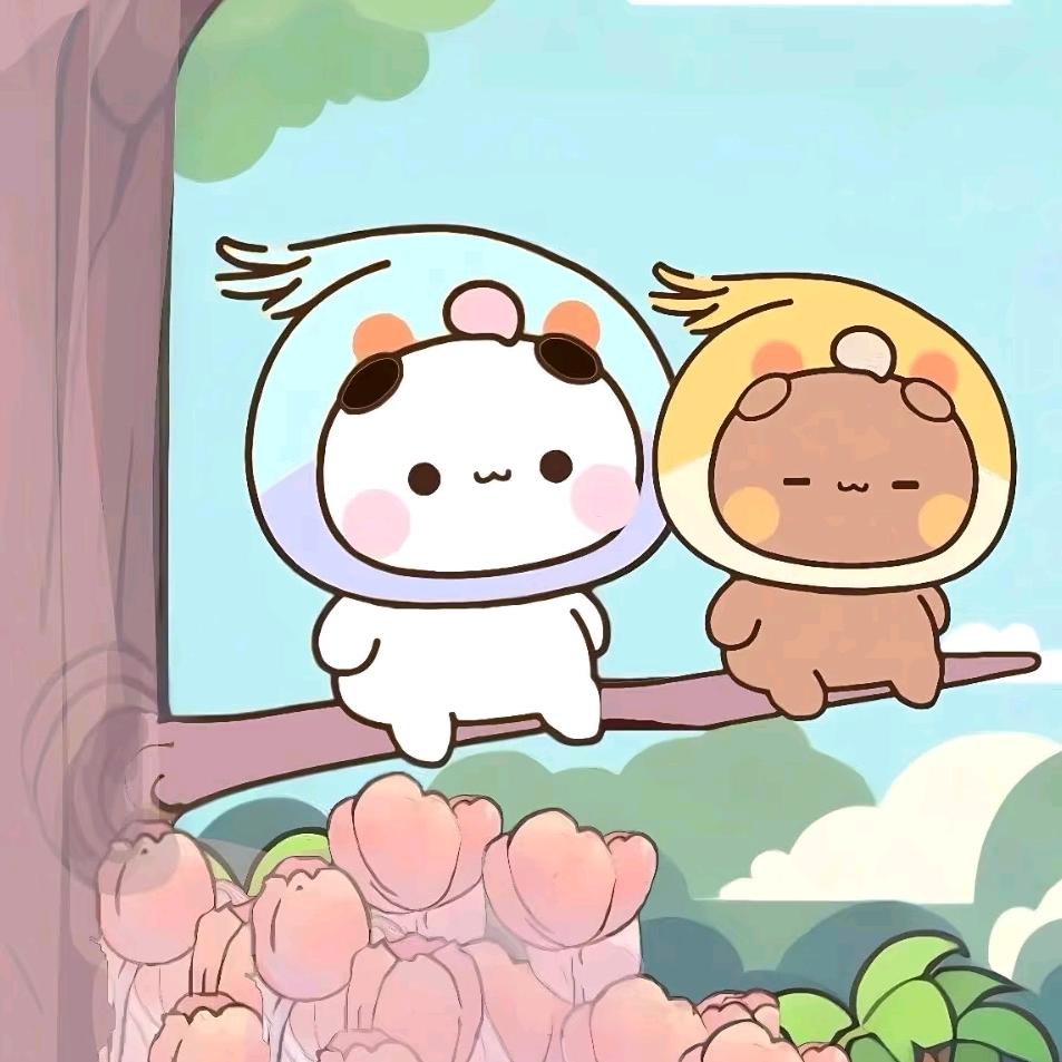 布布的一二