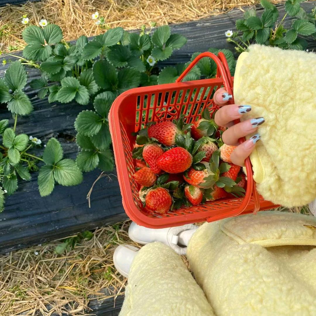 做💅美甲👀美睫的青青