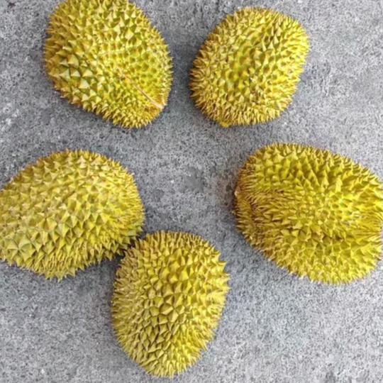财源滚滚