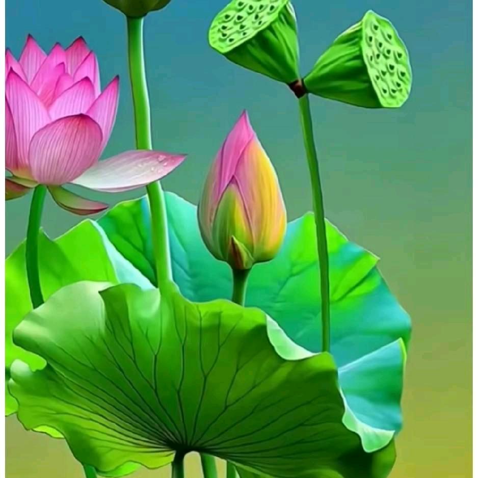 为你停刘(｡･ω･｡)ﾉ♡瓶