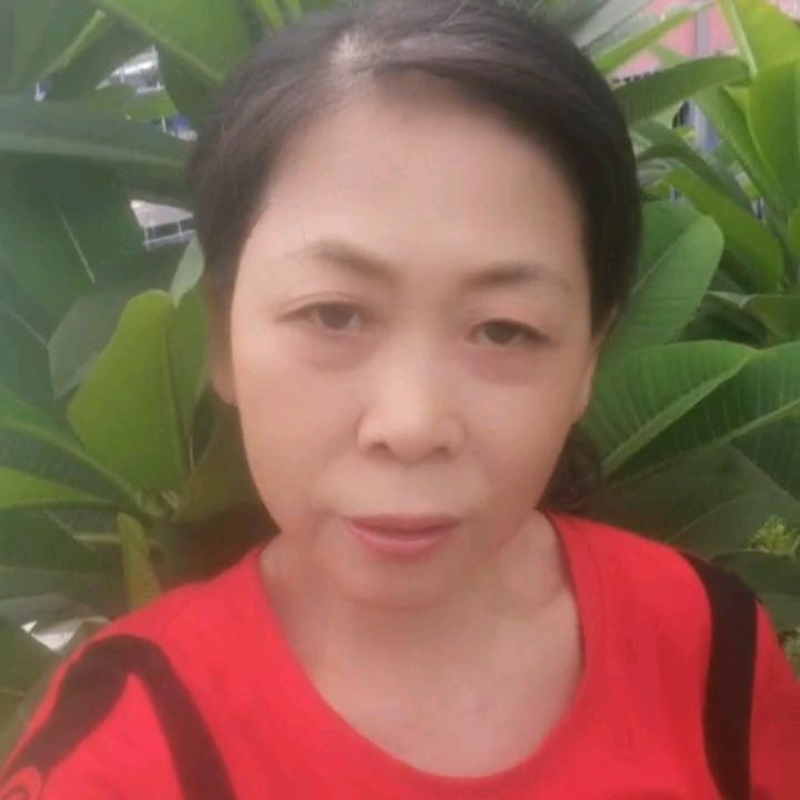 木头姐