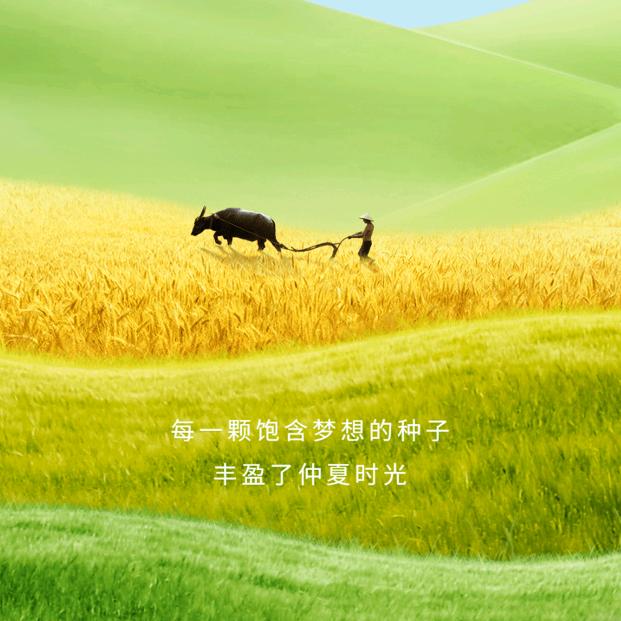 佳之品
