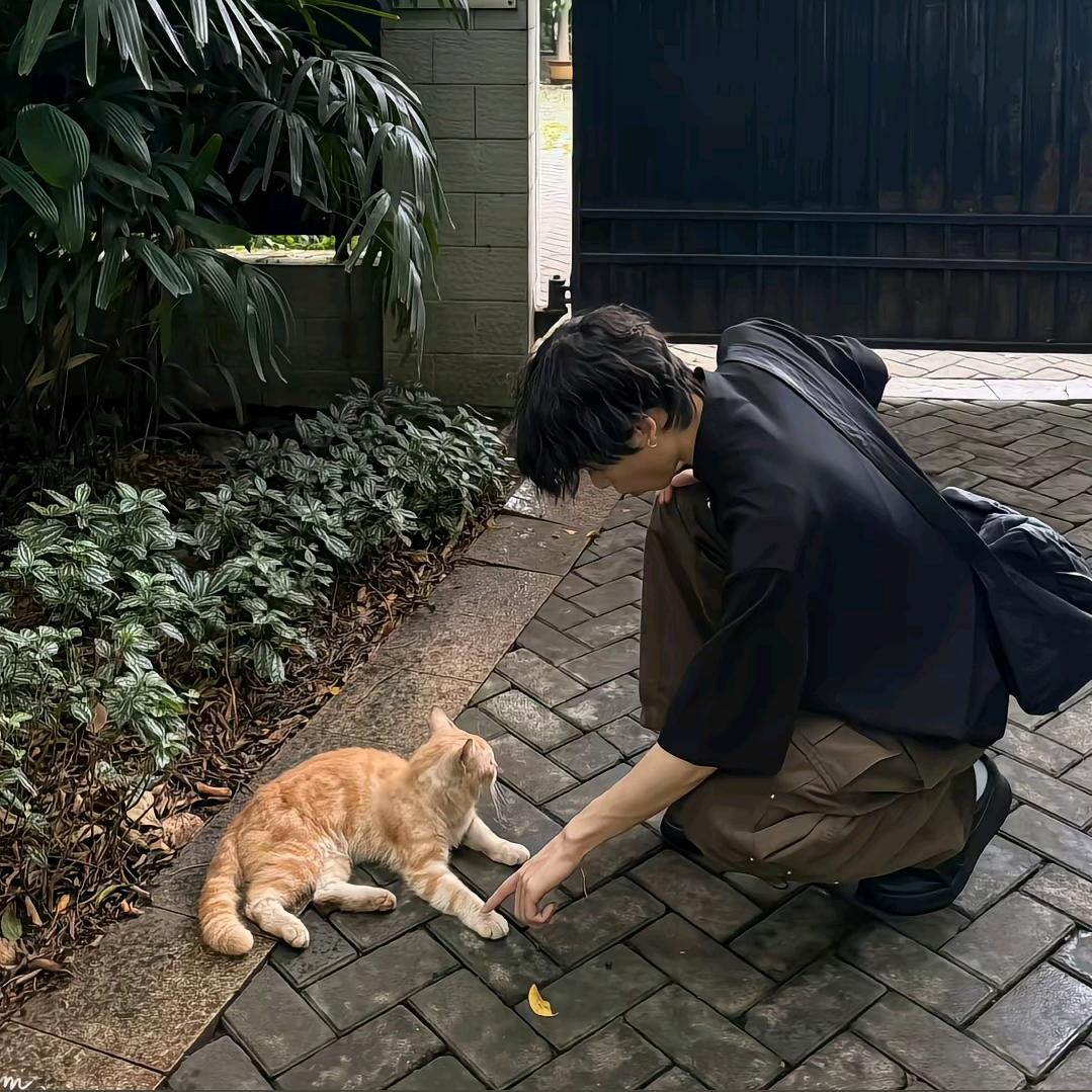 怎么办。