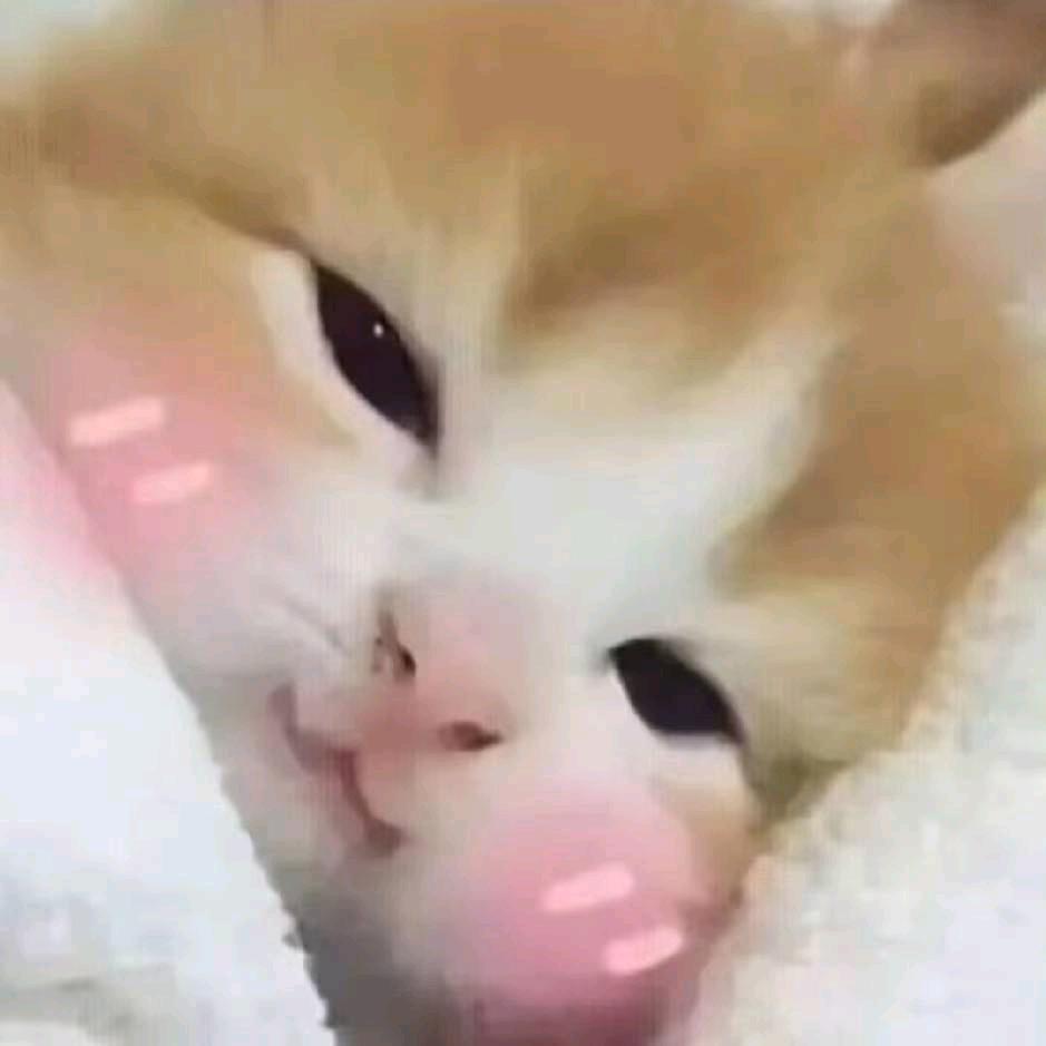 豆米