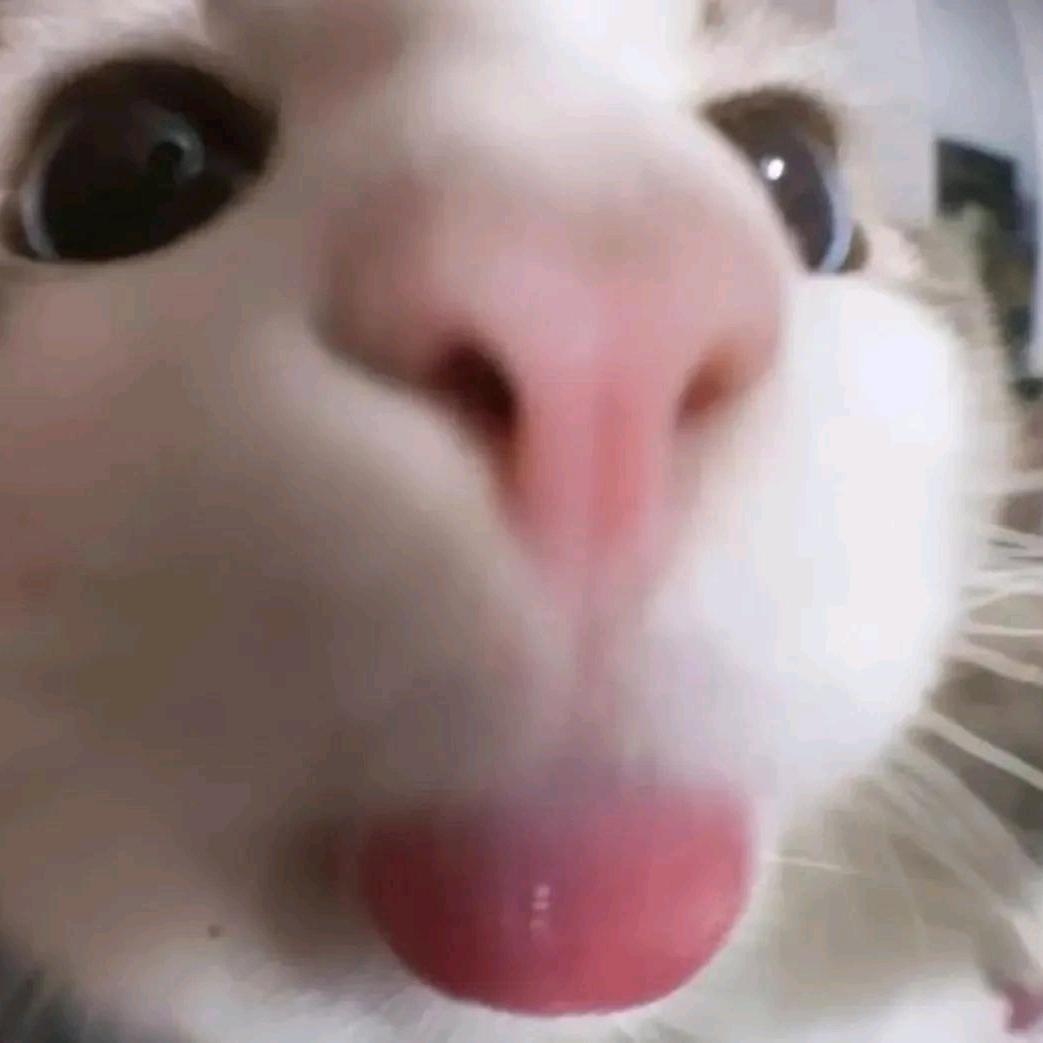 猛练括约肌  夹断负心人