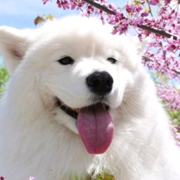 想要快乐