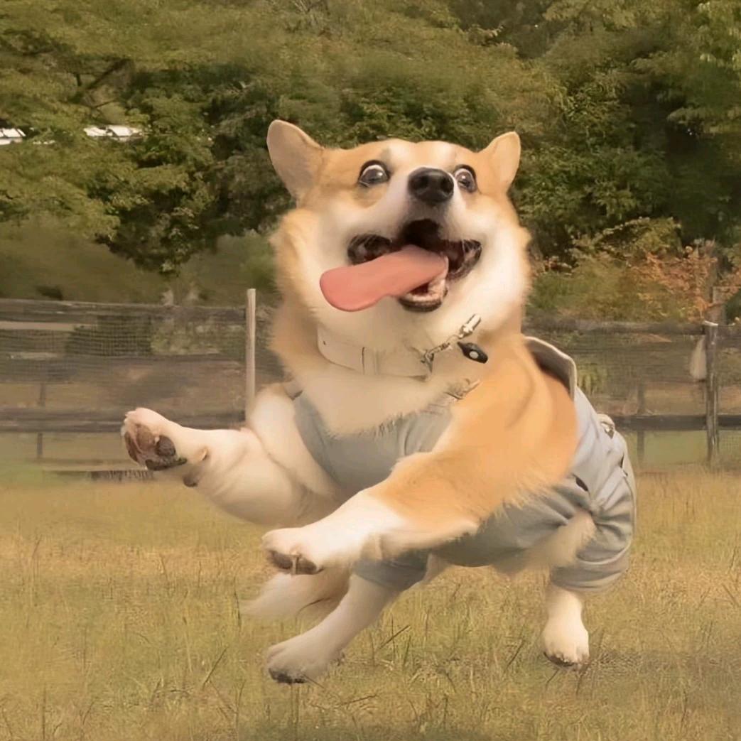 荧禾十堰