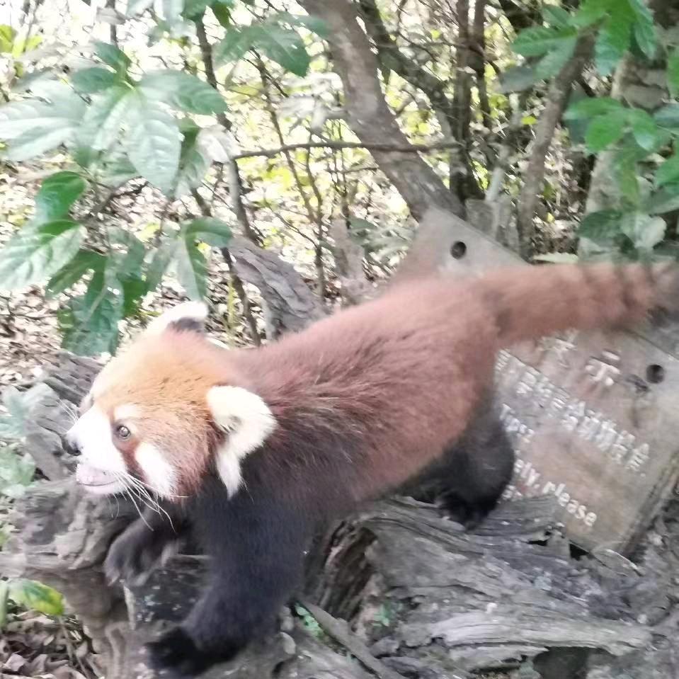 夜孤魂