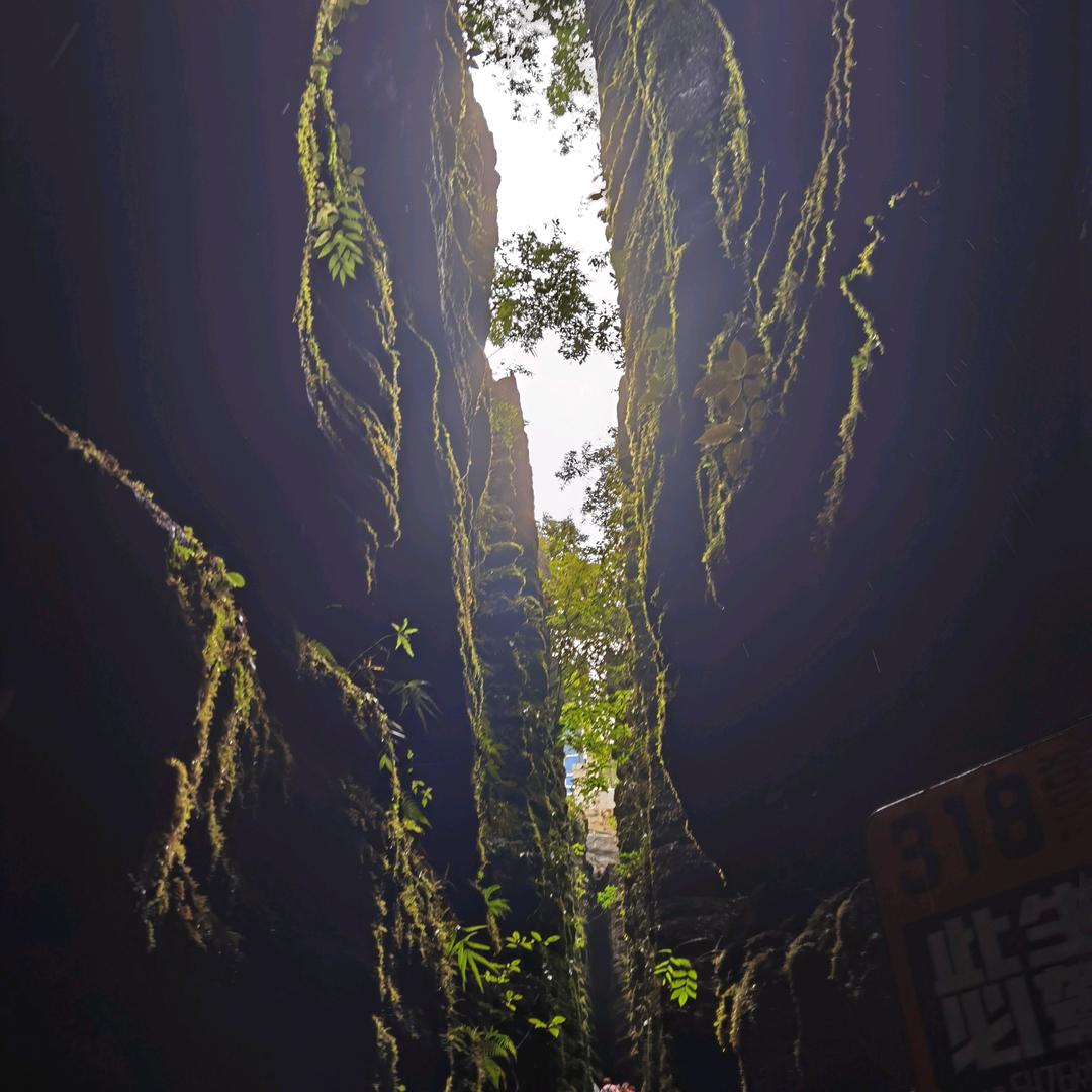 一心向阳
