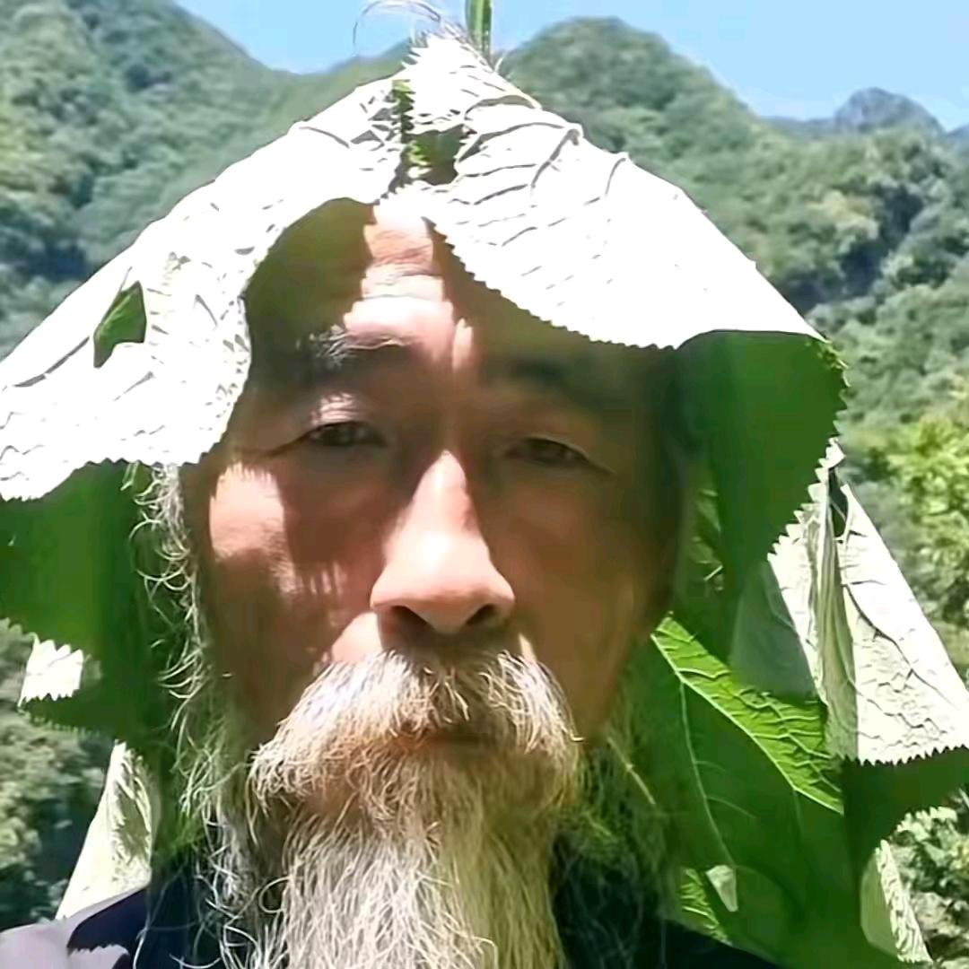 天山童老