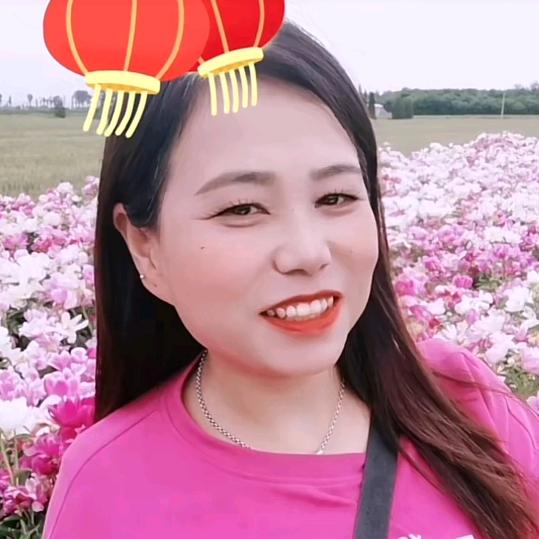 梦菲菲