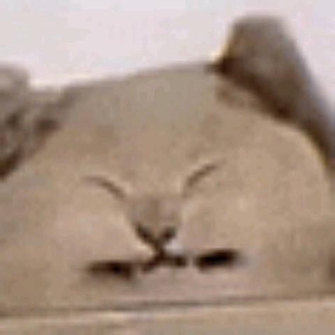 老奥守夜人