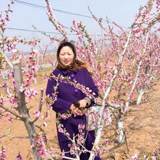 好甜姐姐