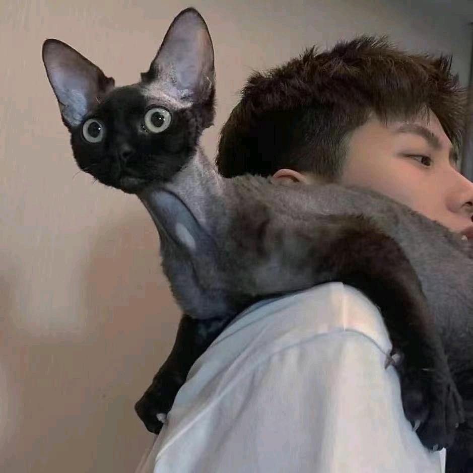 亙亙