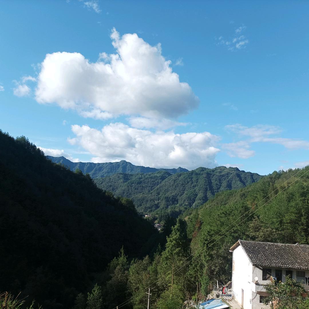 陕A马