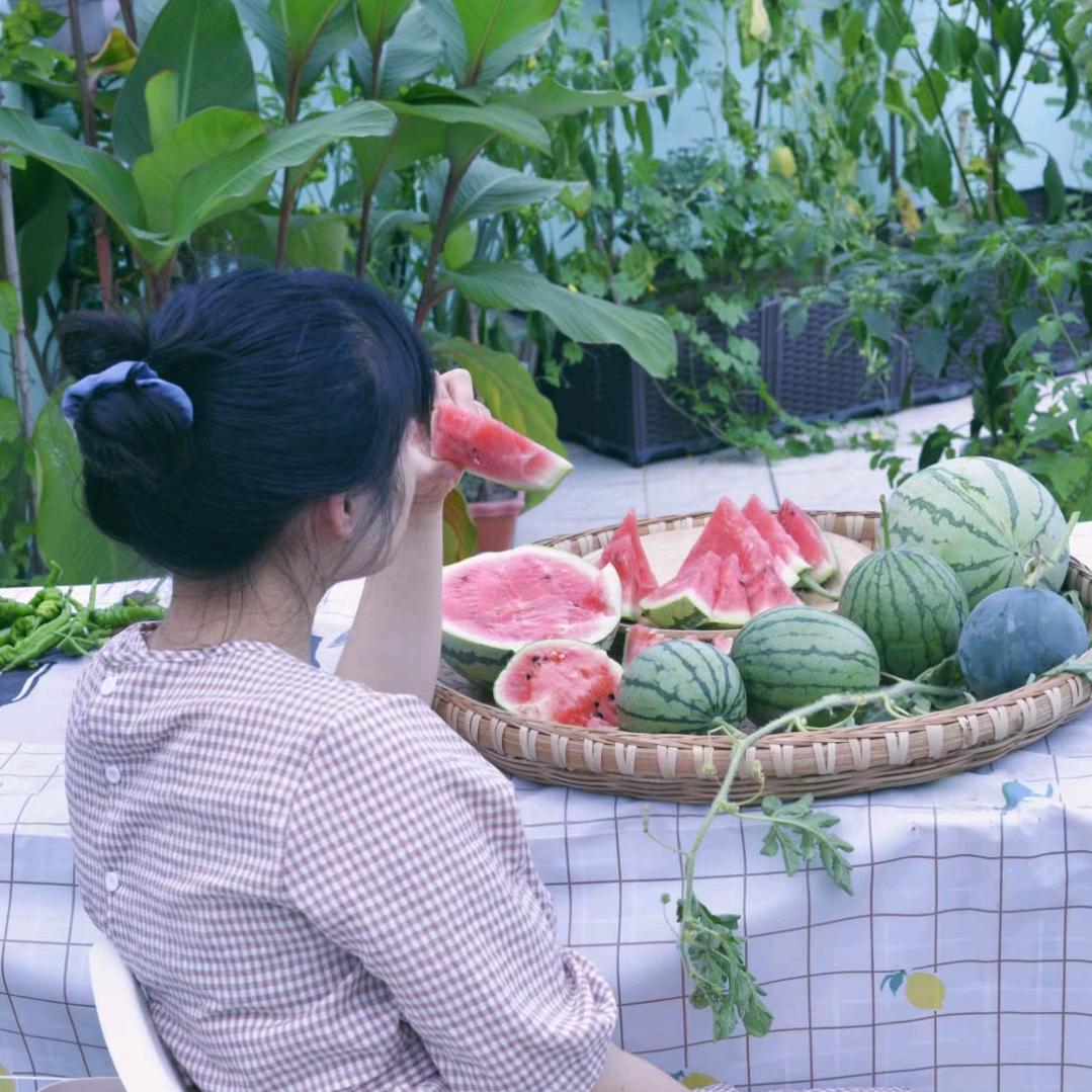 甜姥姥的田园梦