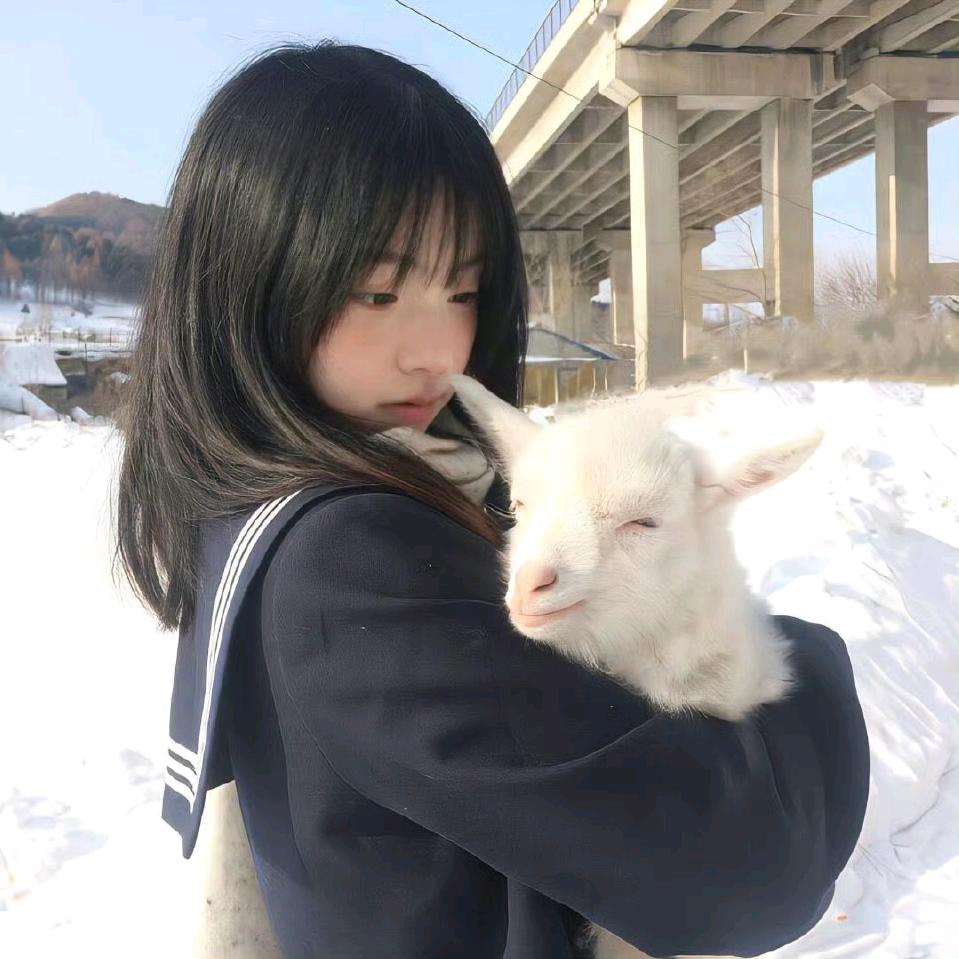 小韩🐾