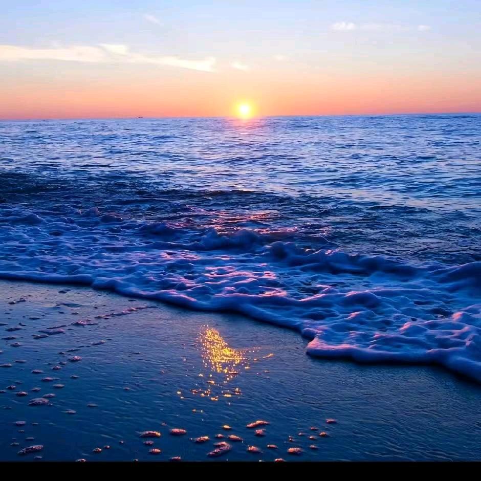 東晨（三角洲行动）