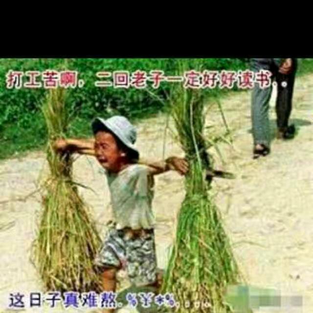 雨过天晴🌷