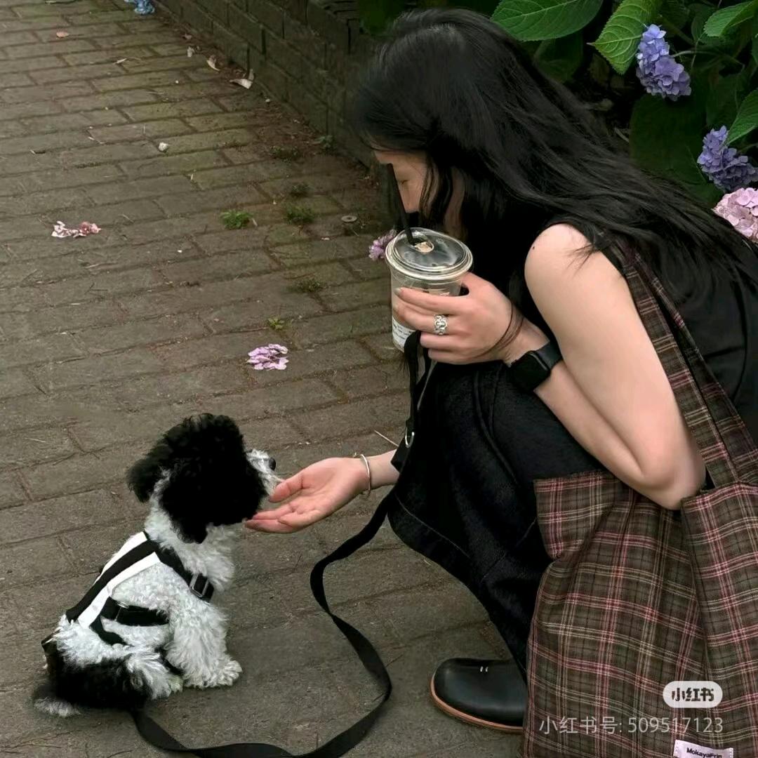小羊羔