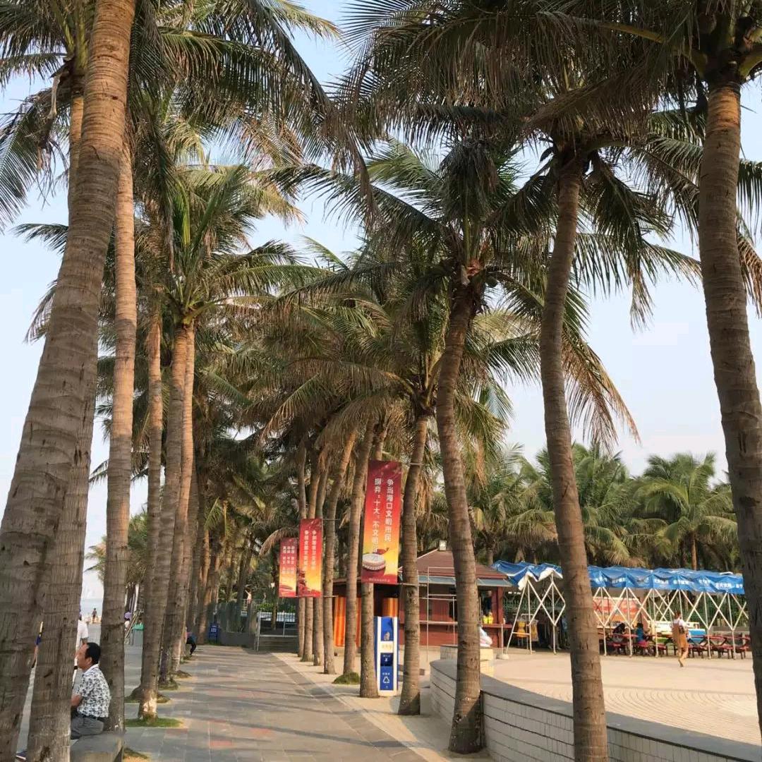 說再見別說永遠🌈