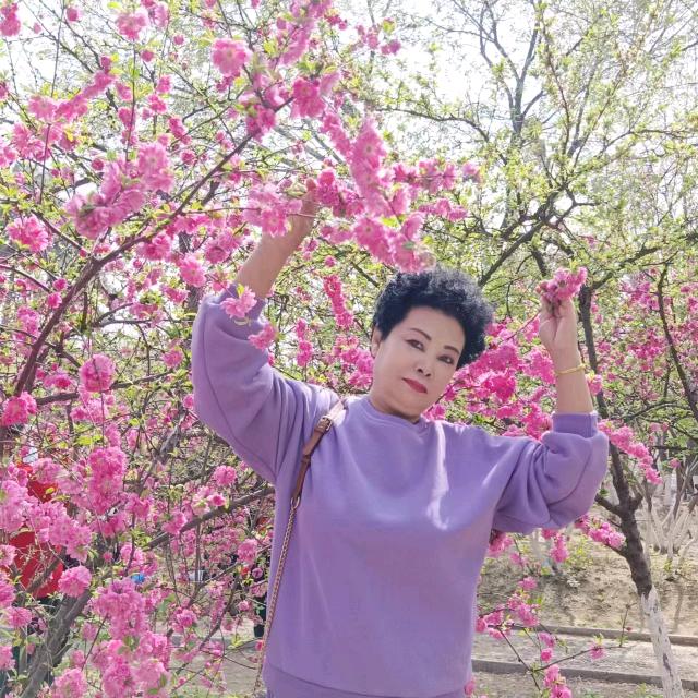 宋兰