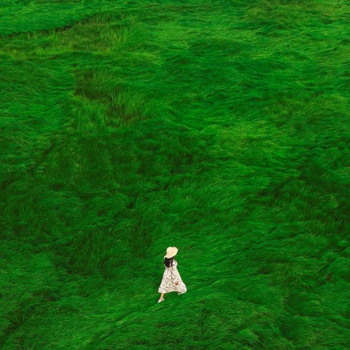 《韋》