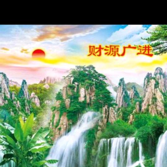 一叶智慧