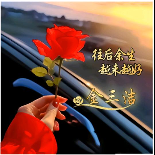 蔬菜采摘大棚金姐