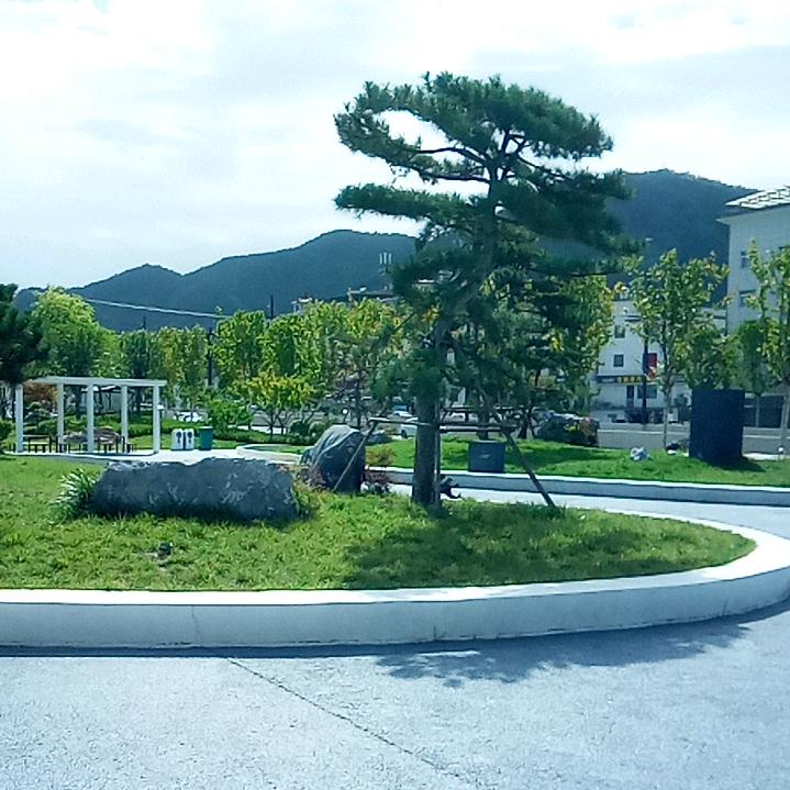 骆哥《爱山歌》