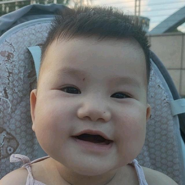 叮当有个百宝袋