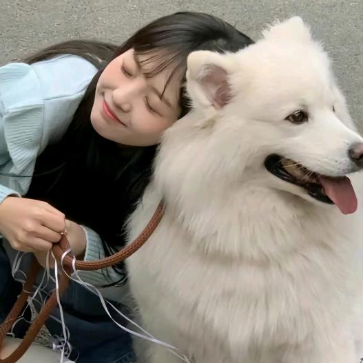 今天吃什么好呢.