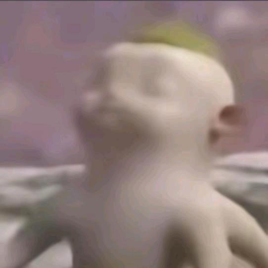 不招血仆的胡巴