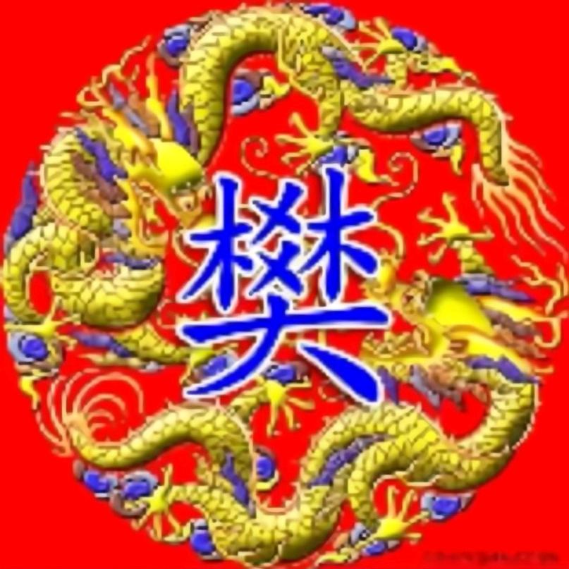 龍飛