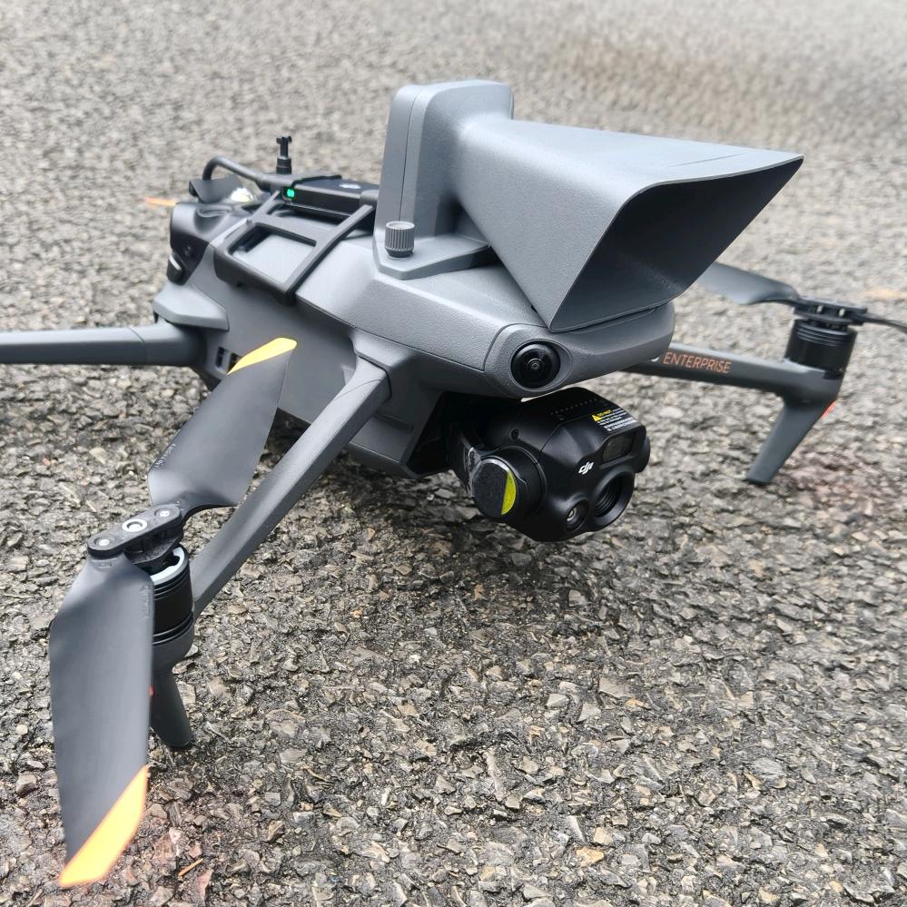 不爱飞的王先生灬